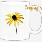 Gewöhnlicher Sonnenhut #2695 (Trinkbecher) | Common Coneflower #2695 (Mug) Coming soon!