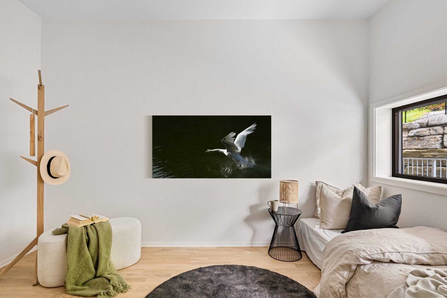 Abfliegender Schwan #0804 (Leinwandbild) | Swan Departing #0804 (Canvas Print)